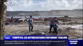 Les trois quarts des ostréiculteurs français touchés par la tempête Ciarán