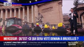 LES ÉCLAIREURS - Mercosur: qu'est-ce qui sera voté ce vendredi à Bruxelles ? 