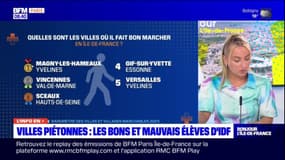 Villes piétonnes: les bons et mauvais élèves d'Ile-de-France