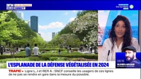 Paris: l'esplanade de la Défense sera végétalisée en 2024