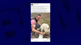 Le wallaby blanc du Domaine de la Ganne, dans l'Allier, a été retrouvé ce jeudi 20 mars par ses propriétaires, quelques heures après sa fugue.