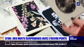 Lyon: des illustrations vendues pour loger des personnes dans le besoin