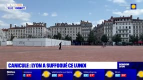 Lyon: la ville a suffoqué ce lundi
