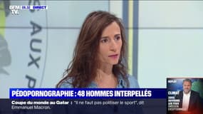 Pédopornographie: 48 hommes, dont plusieurs élus, interpellés en France