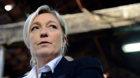 Le Front national, dirigé par Marine Le Pen, rassemble 25% des intentions de vote aux européennes, selon un sondage CSA pour BFMTV et "Nice-Matin".