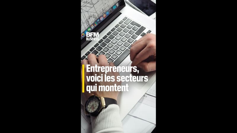 Entrepreneurs, voici les secteurs qui montent