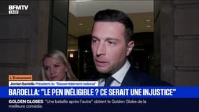 Procès en appel du RN: "L'hypothèse où Marine Le Pen ne pourrait pas se présenter (en 2027) serait une injustice", estime Jordan Bardella