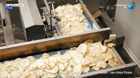 Le Grand Est a tout pour réussir : Thaas Chips 