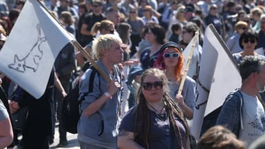 Des militants et des sympathisants du petit parti satirique du « chien à deux queues » portent des vêtements gris alors qu'ils participent à une marche, le 12 avril 2025, pour ridiculiser la répression du premier ministre hongrois Viktor Orban contre les droits des LGBTQ et la diversité.