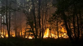 Incendie à Clefs-Val-D'Anjou, près de La Flèche, dans l'ouest de la France, le 9 août 2022 (illustration)