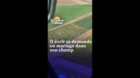 Un agriculteur demande sa compagne en mariage avec des lettres géantes taillées dans son champ