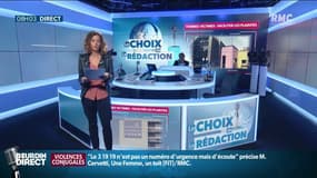 Une habitante de Gajac devant le tribunal à cause de ses canards jugé trop bruyants selon son voisin