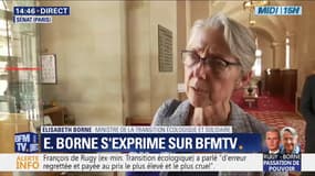 Elisabeth Borne: "On ne peut pas remplacer chaque ligne aérienne par un TGV" sans que ça ne se fasse "au détriment des trains du quotidien"