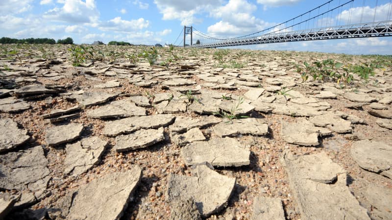 Le lit asséché de la Loire à Ancenis, en Loire-Atlantique, le 19 mai 2011. (Photo d'illustration)