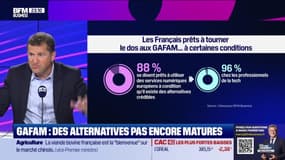 GAFAM : des alternatives pas encore matures - 13/05