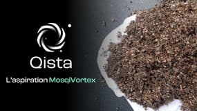 La borne Qista One vous fait oublier l’existence des moustiques et en plus elle est en promotion ! 