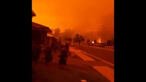 Des incendies intenses ravagent l'est de l'Australie 
