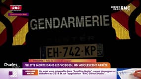 Vosges: une enfant retrouvée morte dans un sac poubelle 