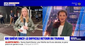 Grève SNCF: un retour du travail difficile pour les usagers 