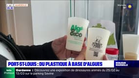 Port-Saint-Louis: une entreprise recycle des algues vertes pour fabriquer des emballages