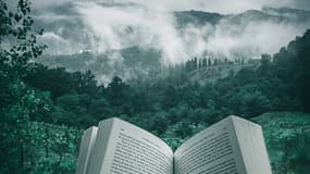 Freida McFadden : 3 livres thrillers parfaits sur votre table de chevet ou dans les transports
