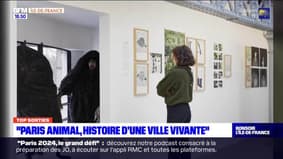 Top Sorties Paris du vendredi 31 mars 2023 - "Paris Animal, histoire d'une ville vivante"