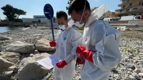 Un exercice "marée noire" a été réalisé sur les plages et les ports de Menton.