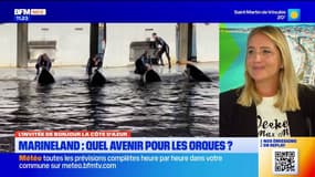 Marineland: remettre en liberté les orques est "impossible" juge la sénatrice Borchio Fontimp