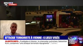"C'est une attaque qui est certainement dirigée contre nos valeurs", selon ambassadeur d'Autriche en France