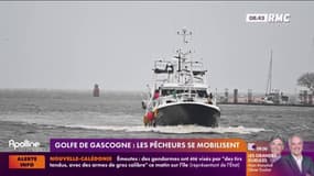 Golfe de Gascogne : les pêcheurs se mobilisent