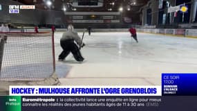Ligue Magnus: Mulhouse affronte l'ogre grenoblois