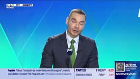 Les terres rares, un secteur d'opportunité ? 