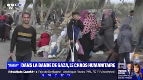 Dans la bande de Gaza, le chaos humanitaire - 19/11