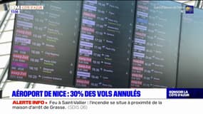 30% des vols annulés ce vendredi à l'aéroport de Nice en raison de la grève