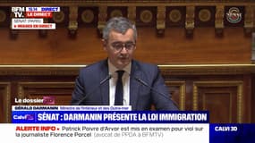 Loi Immigration: "Des mesures sont manifestement contraires à la Constitution" déclare Gérald Darmanin à la tribune du Sénat