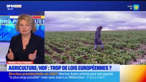 Hauts-de-France: l'agriculture est-elle soumise à trop de lois européennes?