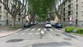 D'imposants platanes dans l'avenue Leclerc à Givors dans le Rhône. 