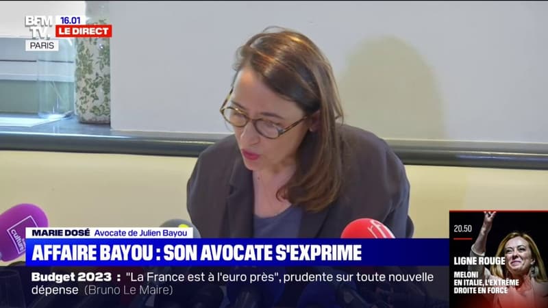 Marie Dosé, l'avocate de Julien Bayou: 