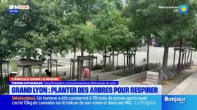 Lyon: l'îlot de chaleur de La Confluence est en train de se résorber