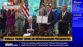 Criminalité : Donald Trump signe un décret pour déployer la Garde nationale à Memphis
