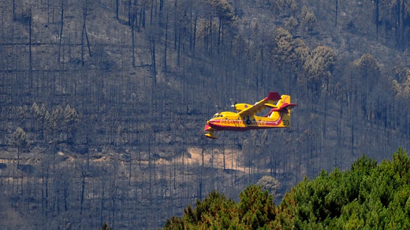 Dans l'Hérault, deux incendies, les plus gros de l'été, menacent plusieurs villages. Plusieurs milliers d'hectare de végétation sont détruits. Des maisons ont brûlé, des habitants ont été évacués.