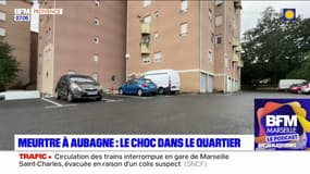 Aubagne: le choc dans le quartier Bertagne après la mort d'un homme, abattu dans sa voiture