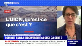 À quoi sert le Congrès mondial de la nature ? BFMTV répond à vos questions