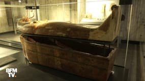 Une momie âgée de 3 000 ans s'installe à Besançon