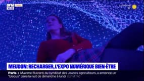 Ariane a testé l'expo numérique immersive Recharger à Meudon