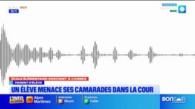 École René Goscinny : un élève menace ses camarades dans la cour - Témoignage d’un parent d’élève  