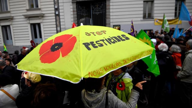 Manifestation de soutien à Daniel Cueff au tribunal administratif de Rennes, le 14 octobre 2019, maire de Langouet, qui a pris un arrêté anti-pesticides contesté
