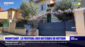 Lyon: le festival des Glycines de retour à Montchat