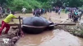 Dans l'est de l'Inde, des paysans sont venus en aide à un éléphant coincé dans une mare de boue