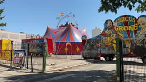 Le cirque Crone s'est installé illégalement à Villeurbanne, la mairie a pris un arrêté contre son ouverture. 